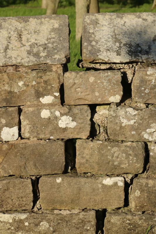 Stone Wall Repair in Missoula, MT